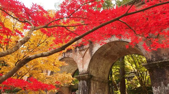 トリップアドバイザー提供