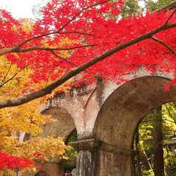 トリップアドバイザー提供