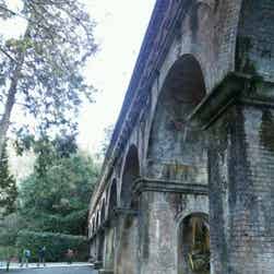 トリップアドバイザー提供