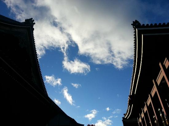 トリップアドバイザー提供