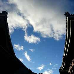 トリップアドバイザー提供