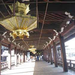 トリップアドバイザー提供