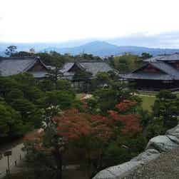 トリップアドバイザー提供