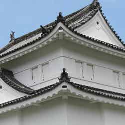 トリップアドバイザー提供