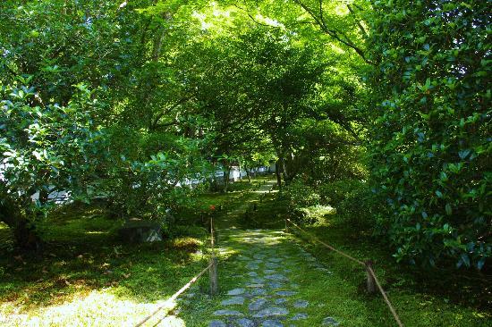 トリップアドバイザー提供