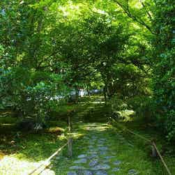 トリップアドバイザー提供