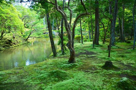 トリップアドバイザー提供