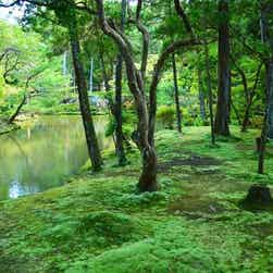 トリップアドバイザー提供