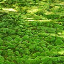 トリップアドバイザー提供