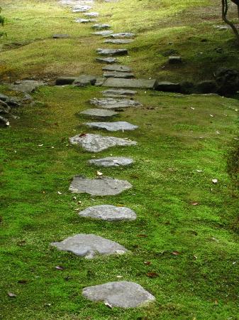 トリップアドバイザー提供