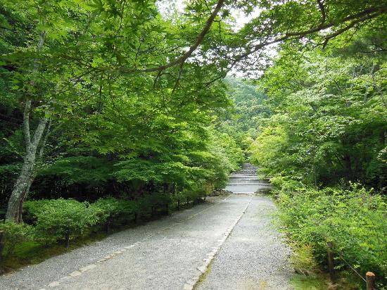 トリップアドバイザー提供