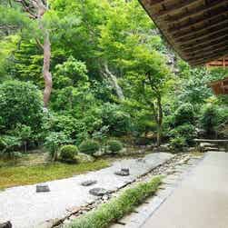 トリップアドバイザー提供