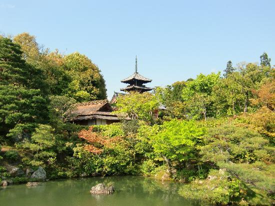 トリップアドバイザー提供