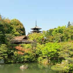 トリップアドバイザー提供