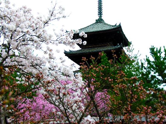 トリップアドバイザー提供