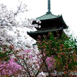 トリップアドバイザー提供