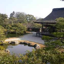 トリップアドバイザー提供