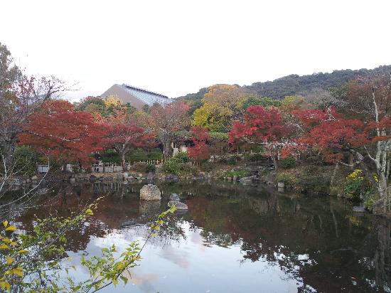 トリップアドバイザー提供