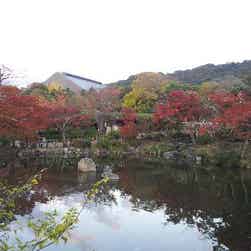 トリップアドバイザー提供