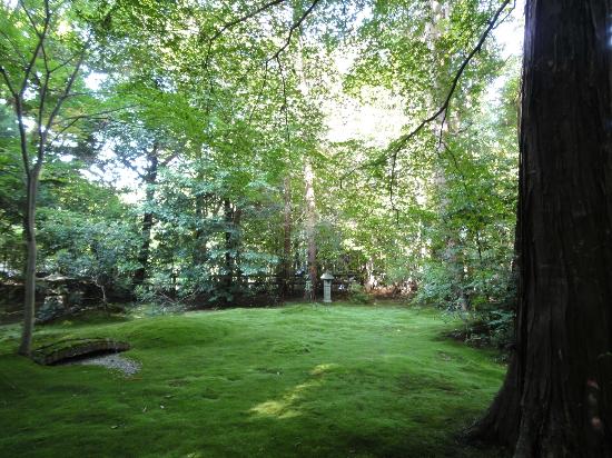 トリップアドバイザー提供