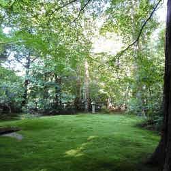 トリップアドバイザー提供