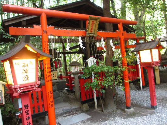 トリップアドバイザー提供