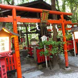 トリップアドバイザー提供