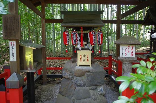 トリップアドバイザー提供