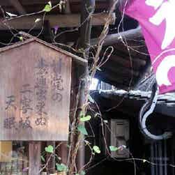 トリップアドバイザー提供