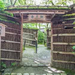 トリップアドバイザー提供