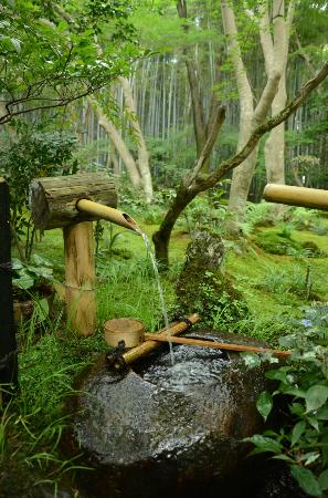 トリップアドバイザー提供