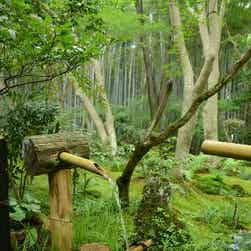 トリップアドバイザー提供