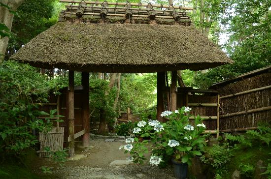 トリップアドバイザー提供