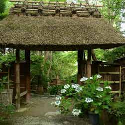 トリップアドバイザー提供