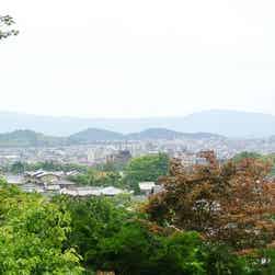 トリップアドバイザー提供