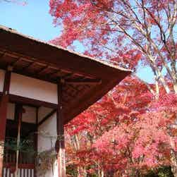 トリップアドバイザー提供