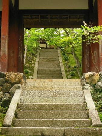 トリップアドバイザー提供