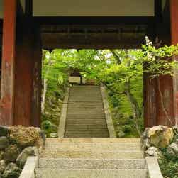 トリップアドバイザー提供