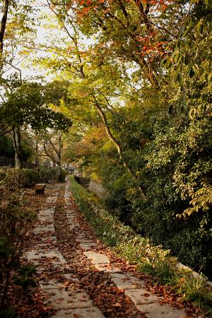 トリップアドバイザー提供