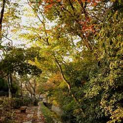 トリップアドバイザー提供