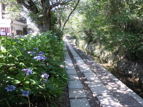 トリップアドバイザー提供