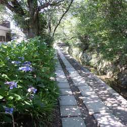 トリップアドバイザー提供