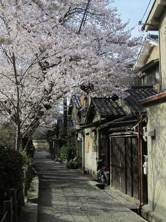 トリップアドバイザー提供