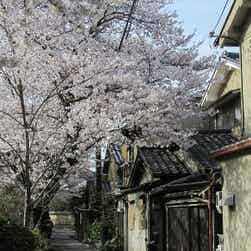 トリップアドバイザー提供