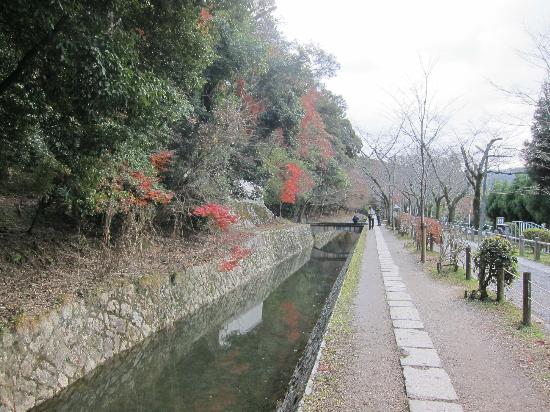 トリップアドバイザー提供