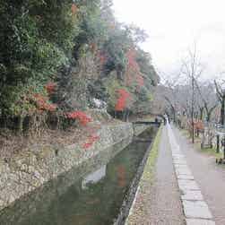 トリップアドバイザー提供