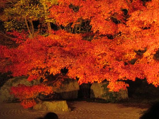 トリップアドバイザー提供