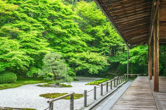 トリップアドバイザー提供
