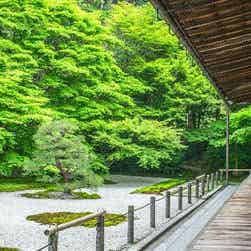 トリップアドバイザー提供