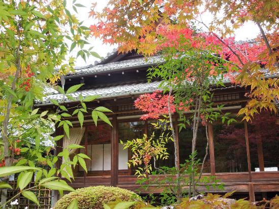 トリップアドバイザー提供